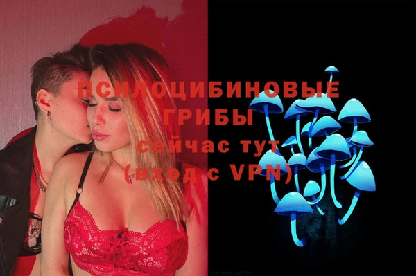 МДПВ Белокуриха