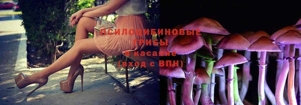 Альфа ПВП Беломорск