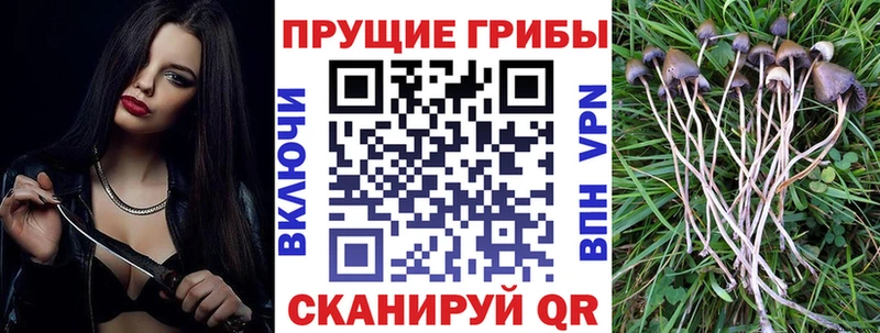 Псилоцибиновые грибы MAGIC MUSHROOMS  Гороховец 
