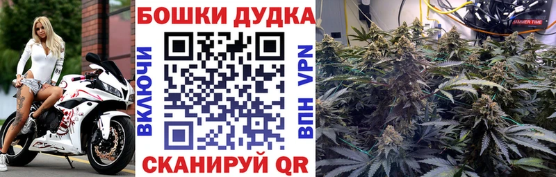 Шишки марихуана сатива  маркетплейс официальный сайт  Гороховец  закладки  ссылка на мегу как зайти 